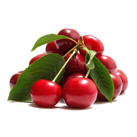 Organic Sour Cherry Juice Concentrate Mavideniz