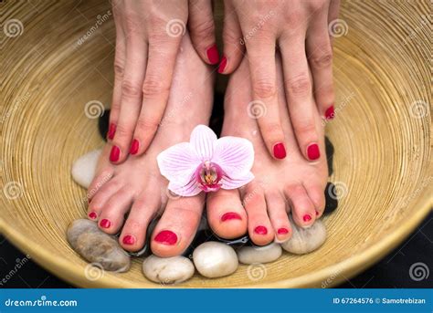 Female Feet in Spa Bowl with Sea Salt, Foot Bath. Stock Photo - Image ...