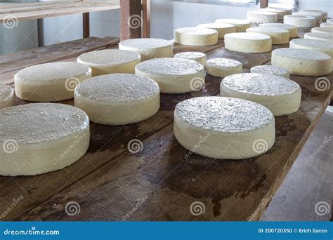 Queso Artesanal De La Serra Da Canastra Minas Gerais Brasil Galardonado