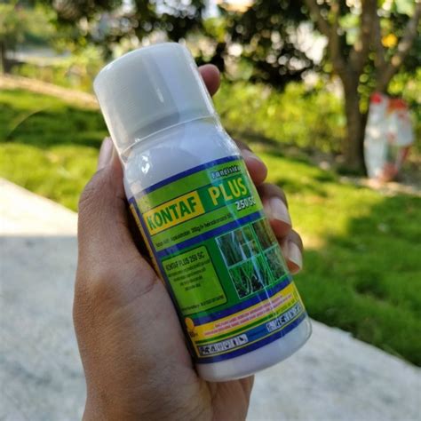 Jual Kontaf Plus Sc Ml Setara Dengan Tandem Atau Amistartop