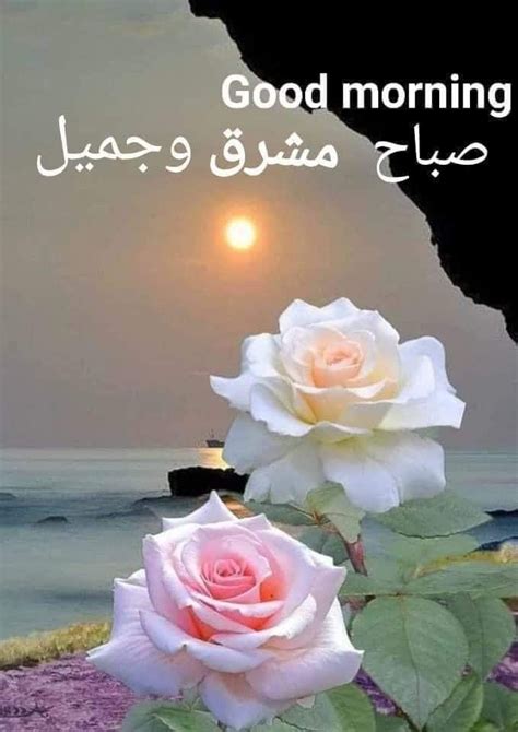 Pin By Hanan Allam On Hanan Good Morning Flowers Good Morning Images