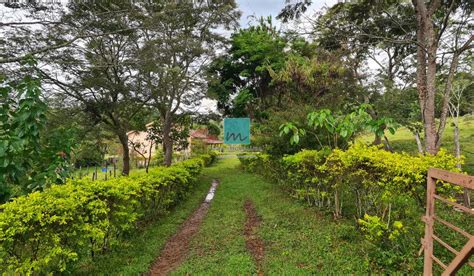 S Tios Fazendas E Ch Caras Venda Em Ouro Preto Mg Buskaza