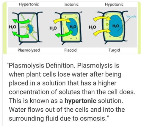 Defination Of Plasmolysis Edurev Class Question