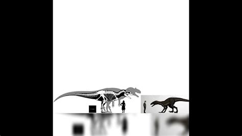 Epanterias And Indoraptor Size Comparison Youtube