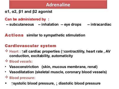 5 Adrenergic Drugs