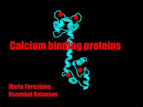 Ppt Calcium Binding Proteins Powerpoint Presentation Free Download