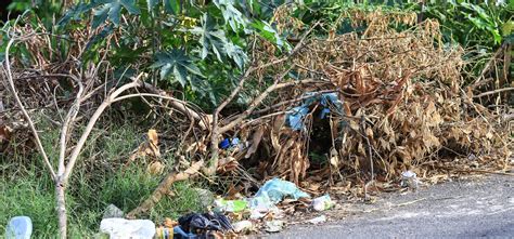 Moradores Reclamam De Acúmulo De Lixo Em Terreno No Pedra Mole