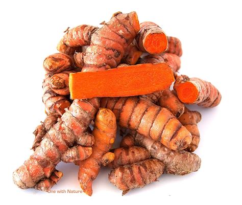 Fresh Wild Turmeric Ginger Lb Each Etsy