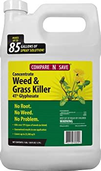 Top 15 Best Weed Killers For Flower Beds Reviews 2024