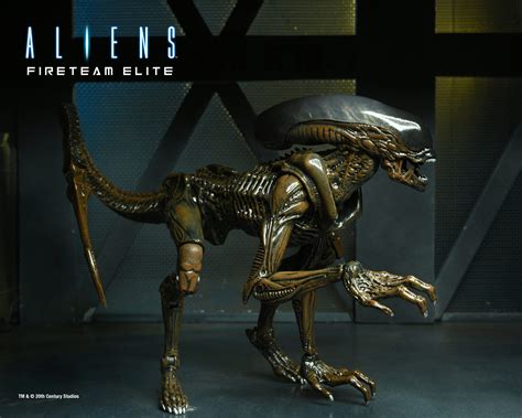 Neca Aliens Fireteam Elite Series Announced Alien Vs Predator Galaxy