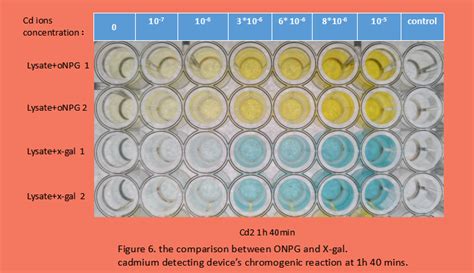 Team:SCUT-China A/Project Chromogenic-Reaction - 2017.igem.org