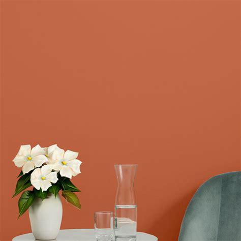 Fire Sign | Orange Paint Color | Clare