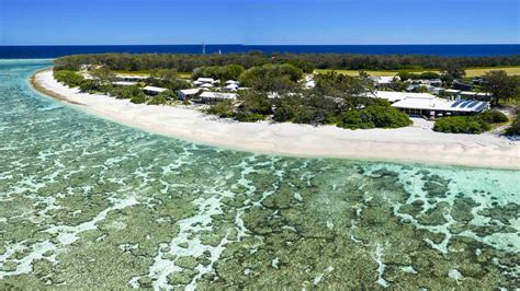 australias lady elliot island fixed    future