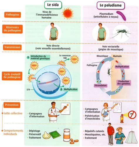 Chapitre 15 Agents pathogènes et maladies infectieuses Comprendre et