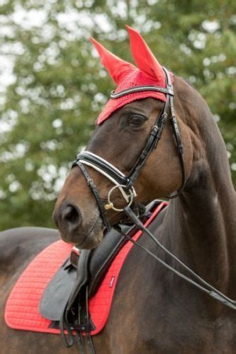 Lemieux Pro Sport Set In The Gorgeous Coral Red Colour Horse Riding