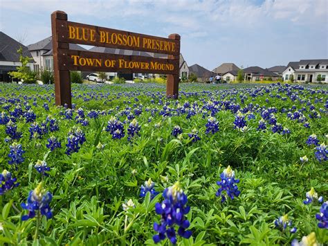 Carroll ISD - Carroll ISD added a new photo.