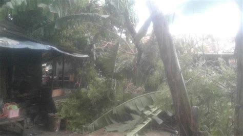 Pohon Tumbang Menimpa Rumah Di Cinangka Kabupaten Serang Tiang