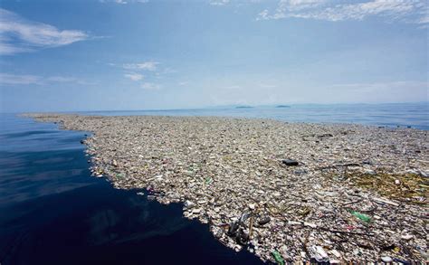 Plastique le septième continent gangrène les mers du globe L