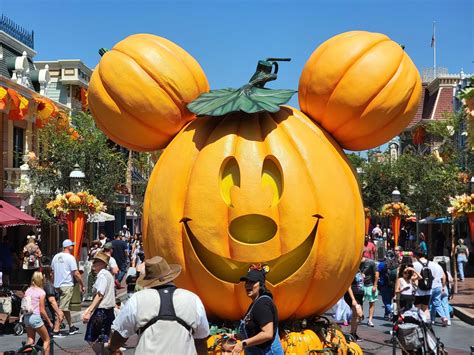 Giant Mickey Pumpkin Carved Character Face Pumpkins Arrive At