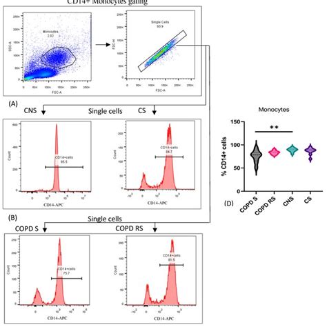 Representative Pseudocolor Plots And Histograms Showing Sequential