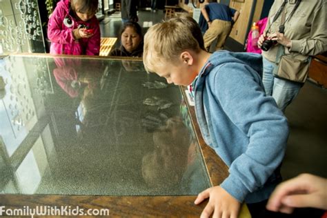 Photo Review Of The Exploratorium Science Museum In San Francisco Usa