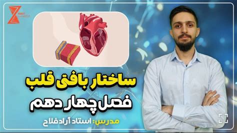 ساختار بافتی قلب قسمتی از فصل چهار زیست پایه دهم