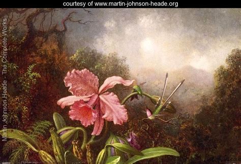 Two Hummingbirds By An Orchid Reproduction Martin Johnson Heade