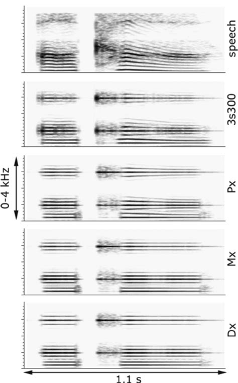 Narrow Band Spectrograms Of Versions Of The Vcv Ä K Ä As Spoken By Download Scientific