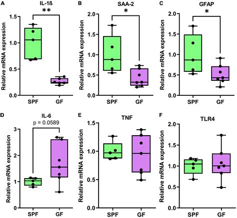 Frontiers CFOS Expression In The Prefrontal Cortex Correlates With