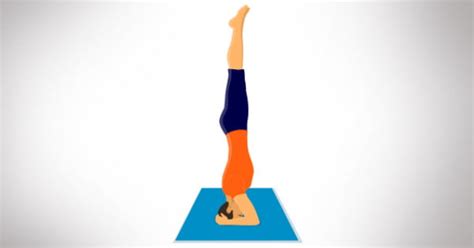 Sirsasana Headstand How To Practice Headstand Benefits