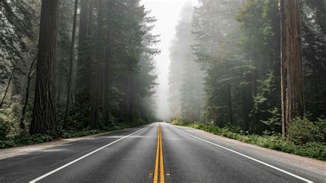 The Road To Career Pathing In Your Organization Talentguard