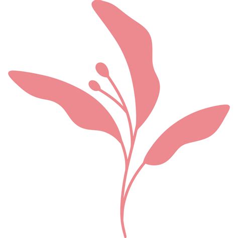 Aesthetic Flower Plant Leaves 10869711 PNG