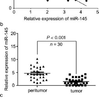 Mir Targeted Hbxip Modulates Breast Cancer Cell Growth A