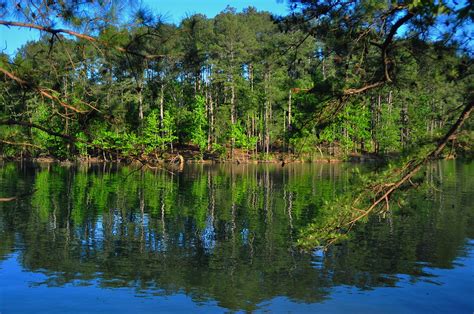 Youll Be Blown Away By These 8 Amazing State Forests In Georgia Only