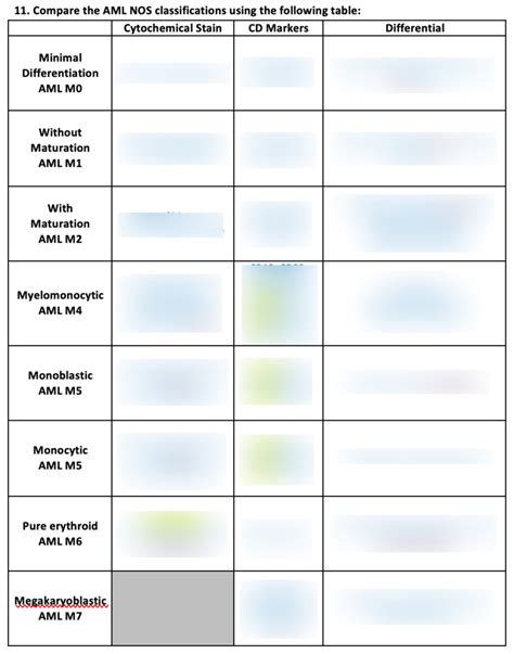 Aml Nos Classifications Table Aml Worksheet Diagram Quizlet