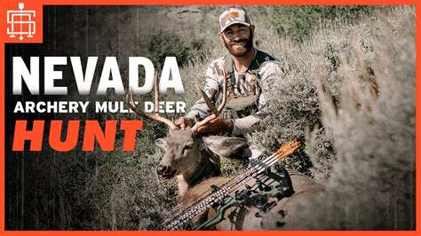 Nevada Archery Mule Deer Hunt Youtube