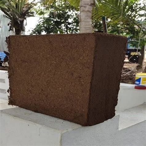 Rectangular Black Cocopeat Block For Plant Nurseries At Rs Kg In