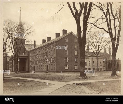 exterior view   brick row buildings yale college