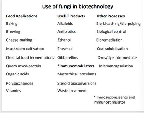 L4 Fungal Biotechnology Flashcards Quizlet