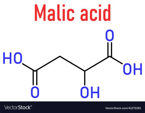 Malic Acid Fruit Acid Molecule Skeletal Formula Vector Image