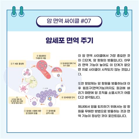 광면역치료 요법 • 일본암치료정보센터 23