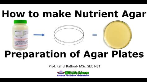 Lb Nutrient Agar Recipe | Bryont Blog