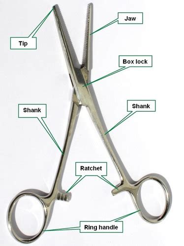 Basic Surgical Instruments Flashcards Quizlet