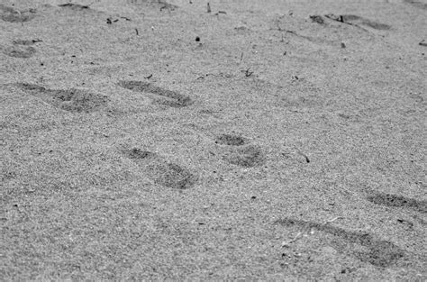 Wallpaper Monochrome Photography Sand Beach Summer Foot Prints