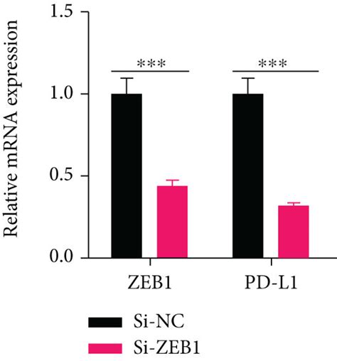 Zeb1 Transcription Up Regulates The Expression Of Pd 1 Pd L1 And