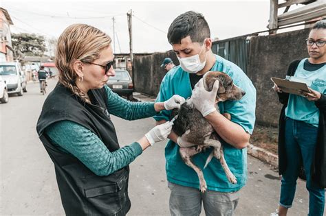 Sebea Promove Mutir O De Castra Es Gratuitas Em Canoas Canoas