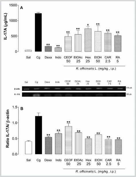 Effects Of The Crude Extract CEOF 50 Mg Kg Of Rosemary Its Derived