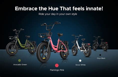 Engwe L Electric Bike Inch Mountain Fat Tire W Motor Km H