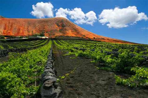 Canary Islands And Azores Cruise Deals Planet Cruise