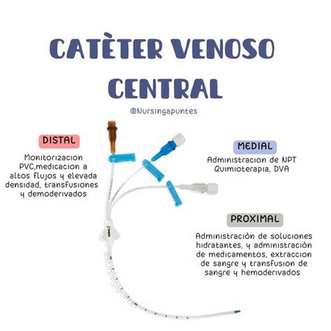 Cat Ter Venoso Central Nursing Apuntes Udocz